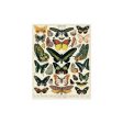 Puzzle Butterflies 55x70cm - 1000 Peças - Cavallini & Co Cheap